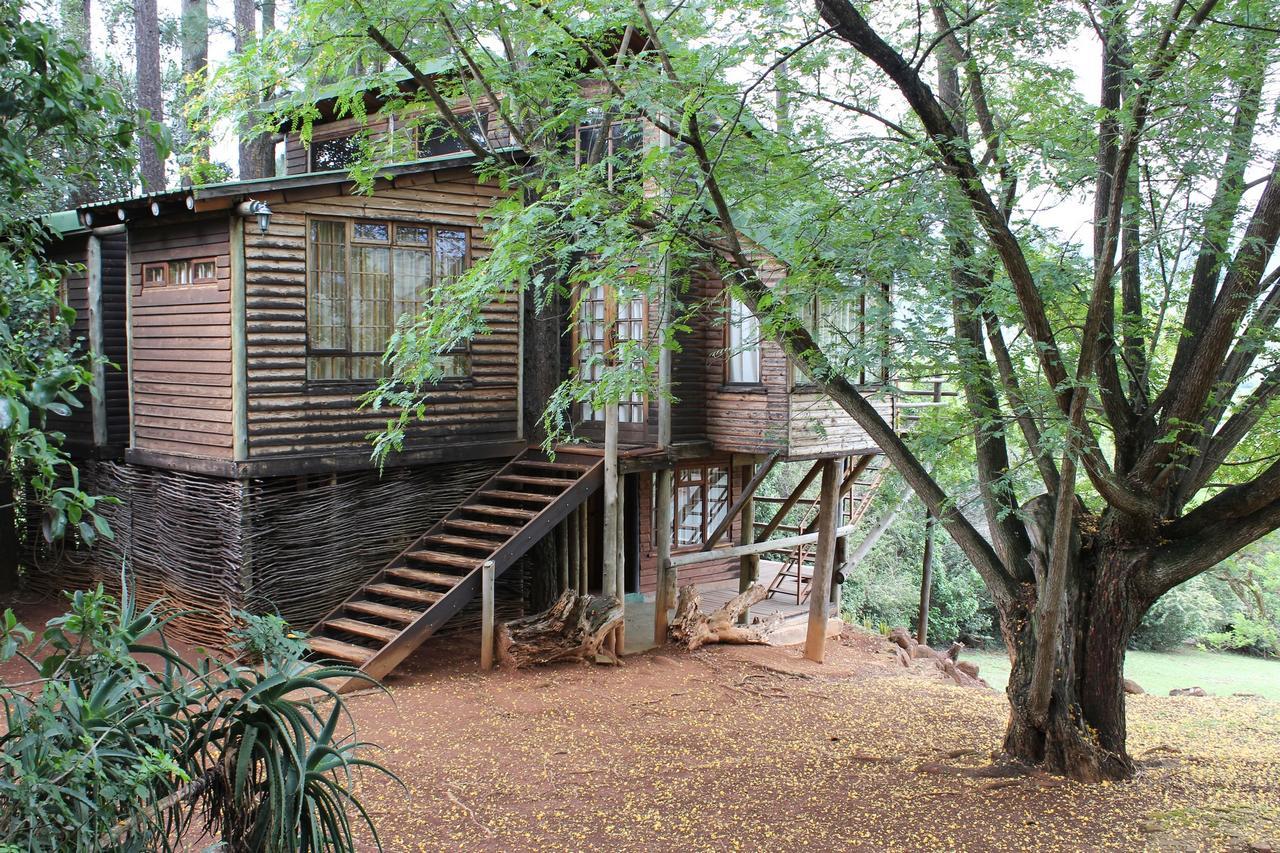 Villa Treks, Trips And Trails Champagne Valley Exterior foto